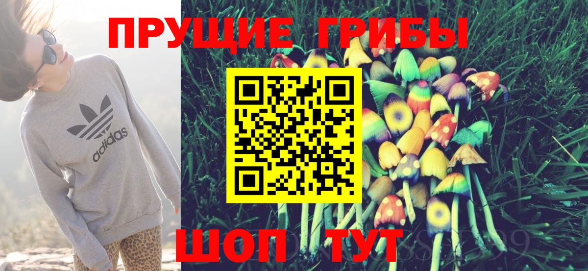 Галлюциногенные грибы Psilocybe Ачинск