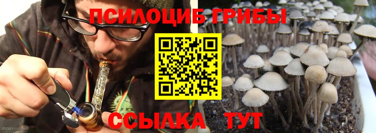 где купить наркоту  Вход с VPN  Ачинск  Галлюциногенные грибы GOLDEN TEACHER 